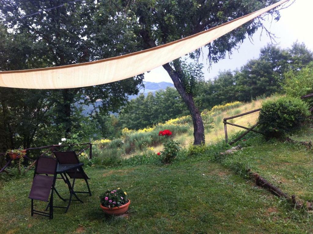 Grannoce Bed And Breakfast Gubbio Kültér fotó
