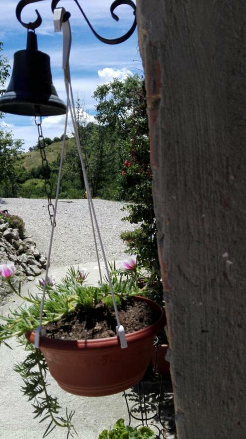 Grannoce Bed And Breakfast Gubbio Kültér fotó